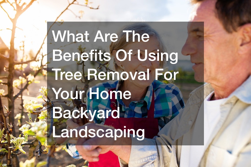 tree removal for backyard landscaping