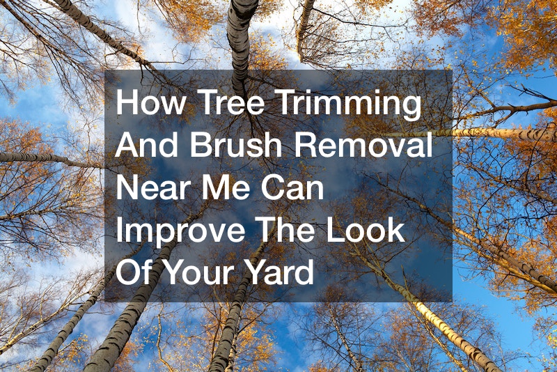 tree and brush removal service near me