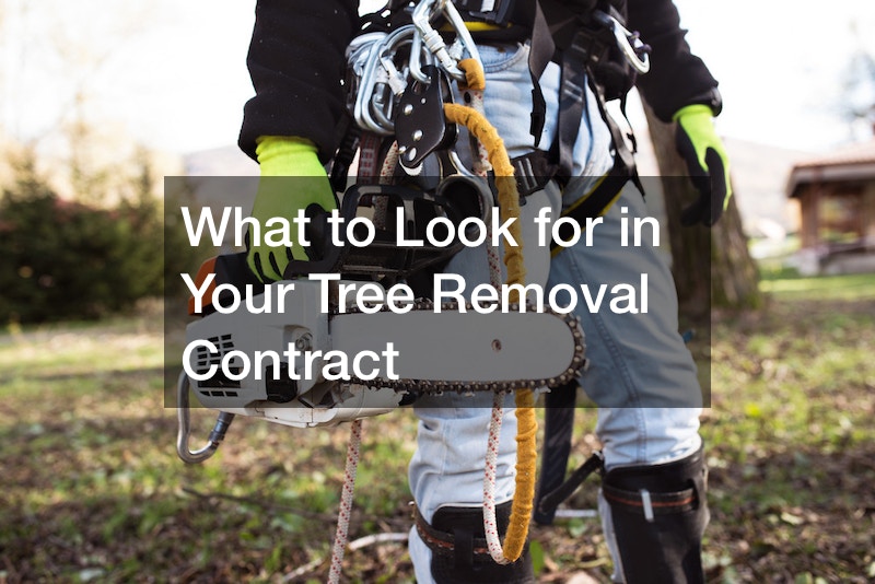 What to Look for in Your Tree Removal Contract