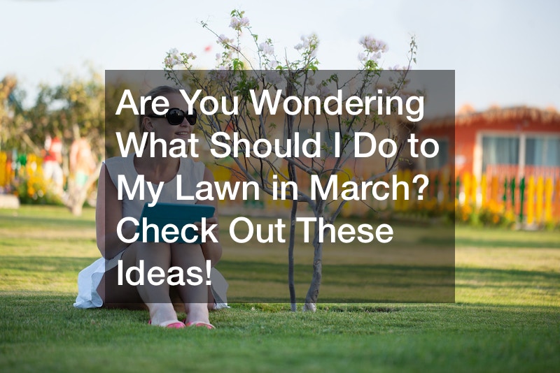 Are You Wondering, “What Should I Do to My Lawn in March?” Check Out These Ideas!