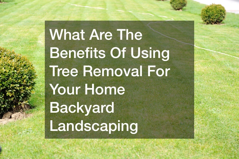 What Are The Benefits Of Using Tree Removal For Your Home Backyard Landscaping