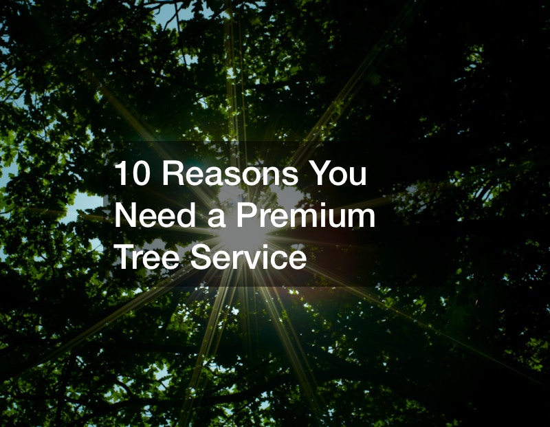 10 Reasons You Need a Premium Tree Service