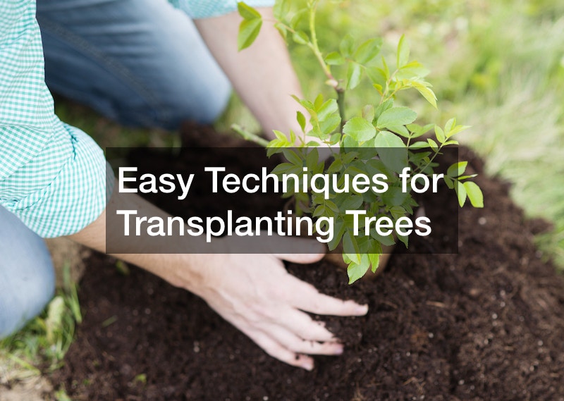 Easy Techniques for Transplanting Trees