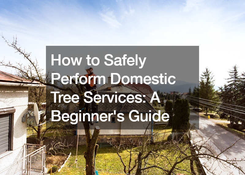How to Safely Perform Domestic Tree Services  A Beginners Guide