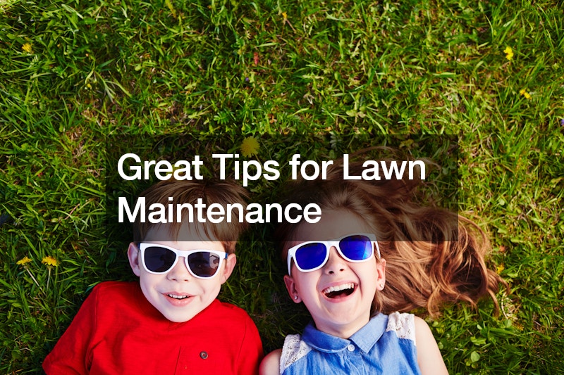 Great Tips for Lawn Maintenance