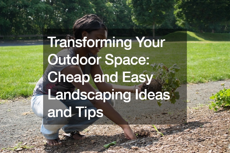 Transforming Your Outdoor Space  Cheap and Easy Landscaping Ideas and Tips