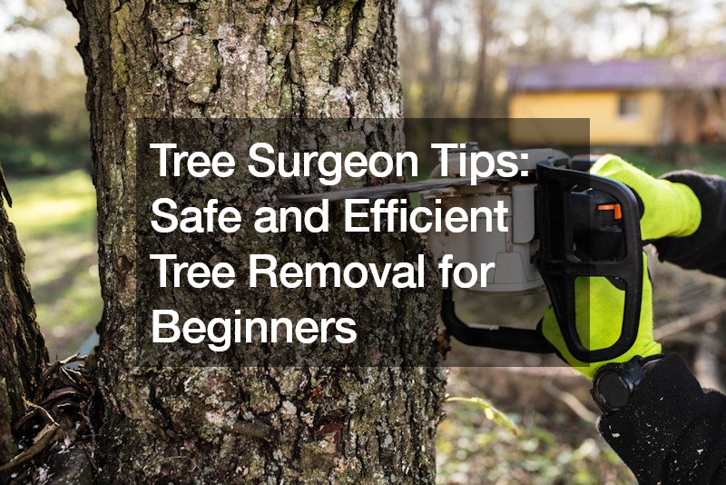 Tree Surgeon Tips  Safe and Efficient Tree Removal for Beginners