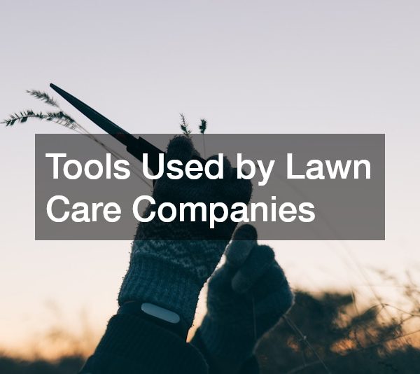 Tools Used by Lawn Care Companies