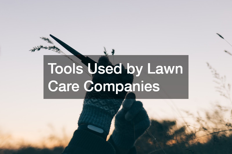 Tools Used by Lawn Care Companies