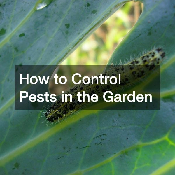 How to Control Pests in the Garden