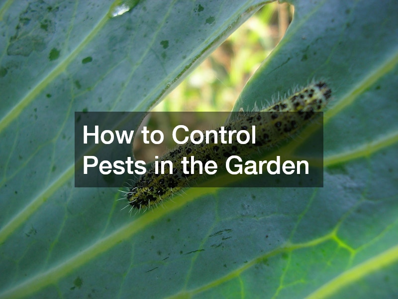 How to Control Pests in the Garden