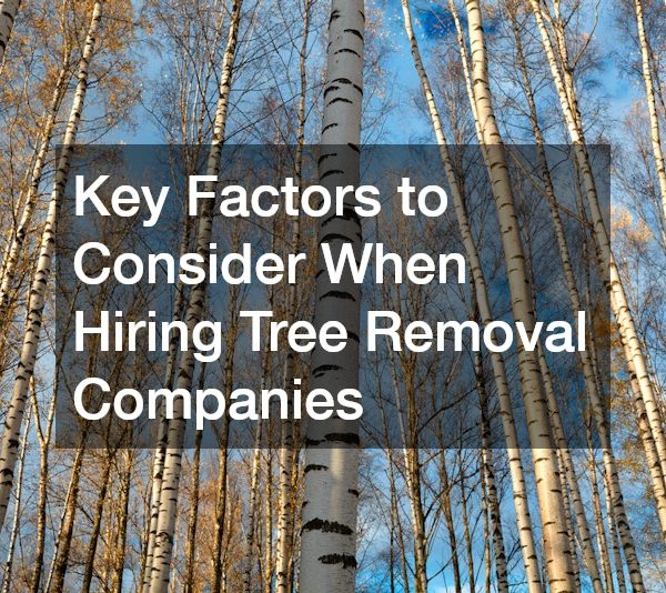 Key Factors to Consider When Hiring Tree Removal Companies