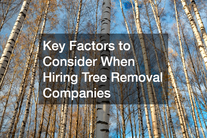 Key Factors to Consider When Hiring Tree Removal Companies