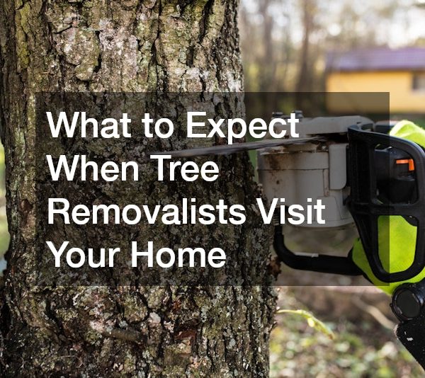 What to Expect When Tree Removalists Visit Your Home