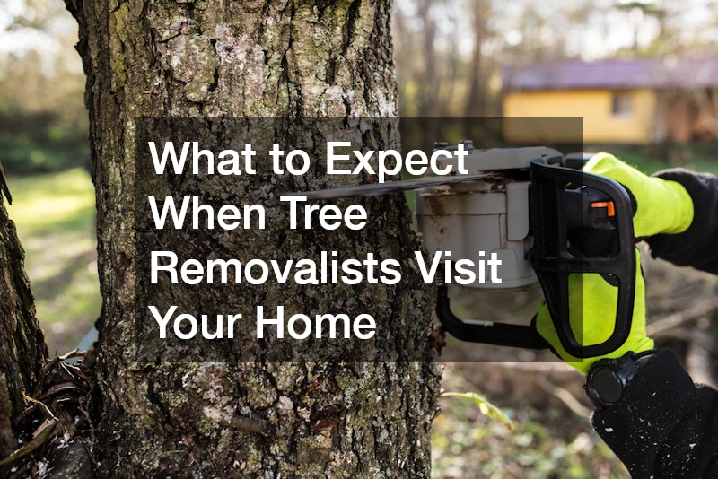 What to Expect When Tree Removalists Visit Your Home