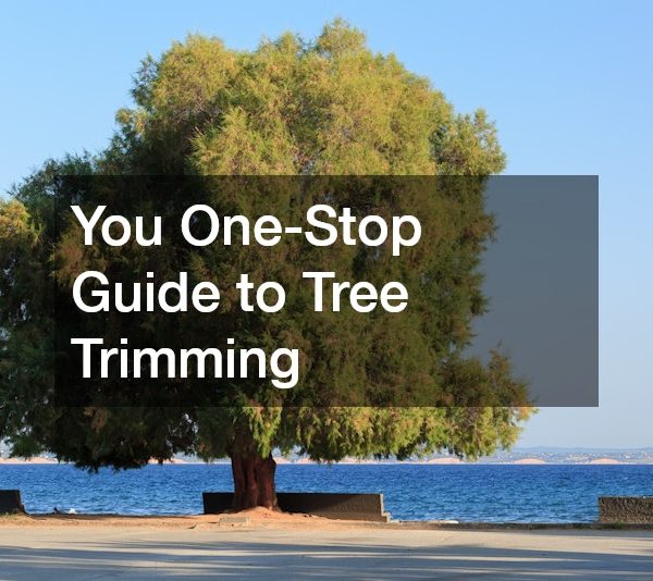 You One-Stop Guide to Tree Trimming