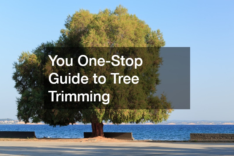 You One-Stop Guide to Tree Trimming