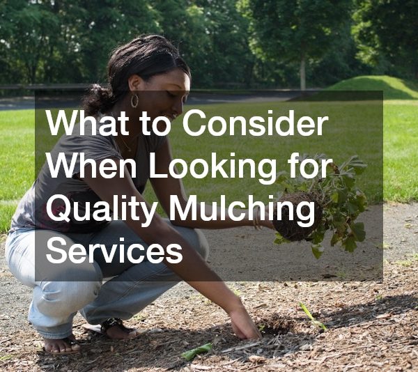 What to Consider When Looking for Quality Mulching Services