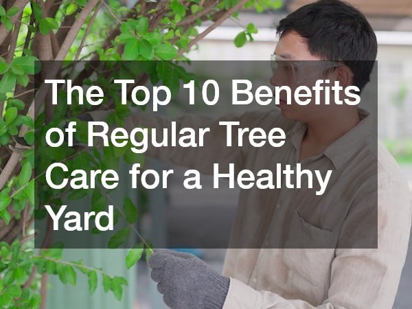 The Top 10 Benefits of Regular Tree Care for a Healthy Yard