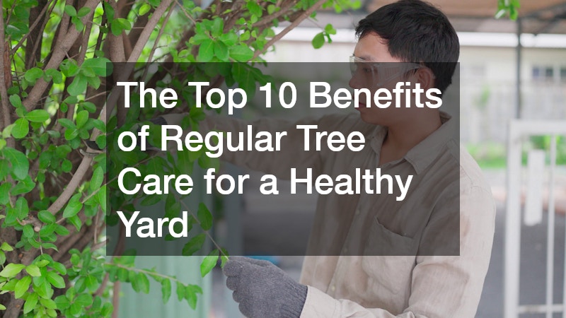 The Top 10 Benefits of Regular Tree Care for a Healthy Yard