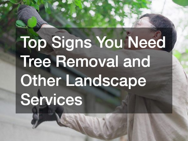Top Signs You Need Tree Removal and Other Landscape Services