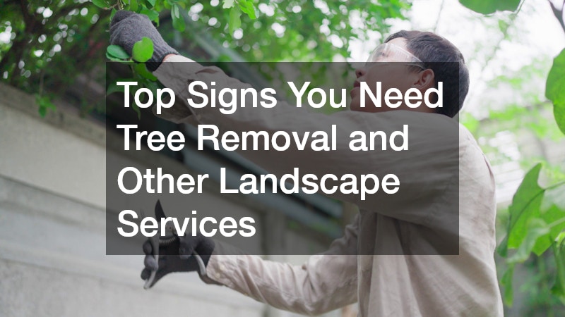 Top Signs You Need Tree Removal and Other Landscape Services