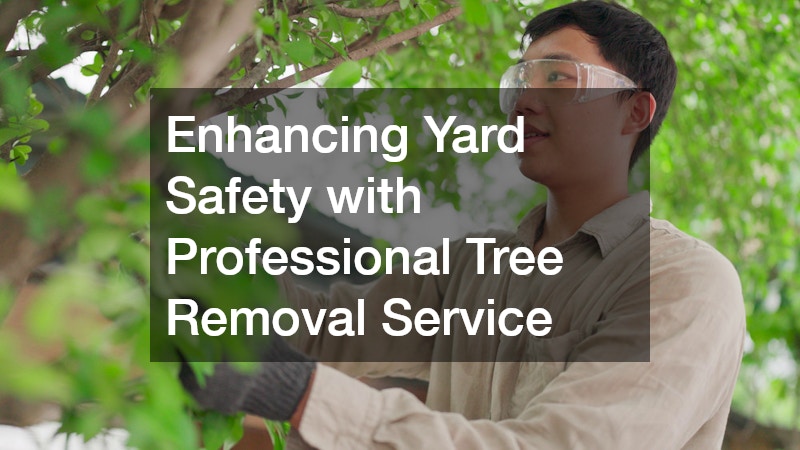 Enhancing Yard Safety with Professional Tree Removal Service