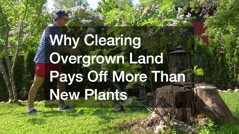 Why Clearing Overgrown Land Pays Off More Than New Plants
